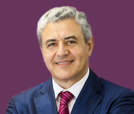 Prof. Dr. Raul  Andrade